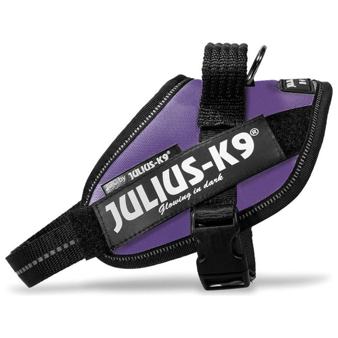 Julius-K9 Pettorina per cani IDC Powerharness Tg. Mini-Mini XS - Tg. Mini Mini (Circonferenza 40-53 cm Peso 4-7 Kg) Viola