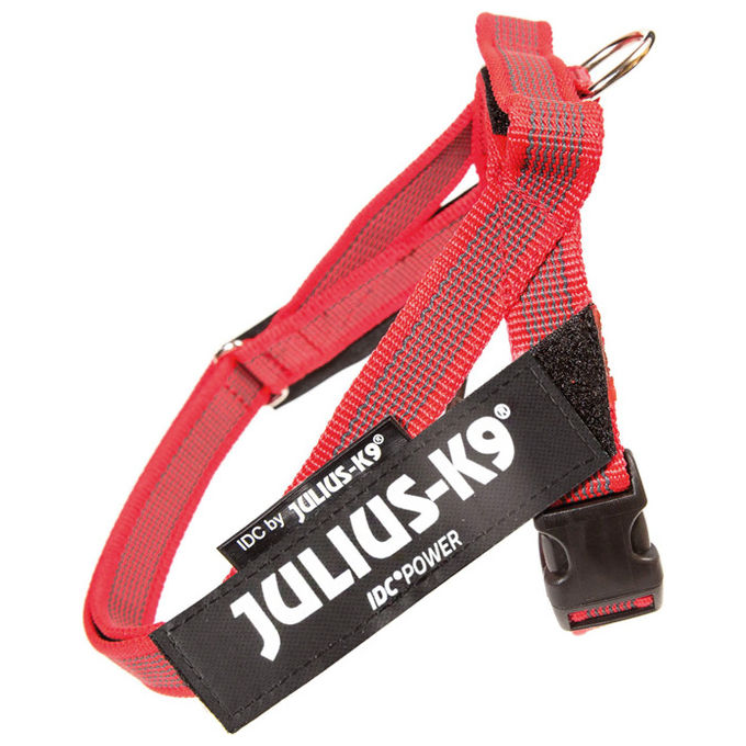 Julius-K9 Pettorina per cani IDC Color e Gray belt harness Tg. Mini-mini e Mini S - Tg. Mini (Circonferenza 49-67 cm Peso 7-15 Kg) Rosso