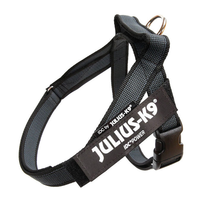 Julius-K9 Pettorina per cani IDC Color e Gray belt harness Tg. Mini-mini e Mini XS - Tg. Mini Mini (Circonferenza 40-53 cm Peso 4-7 Kg) Nero