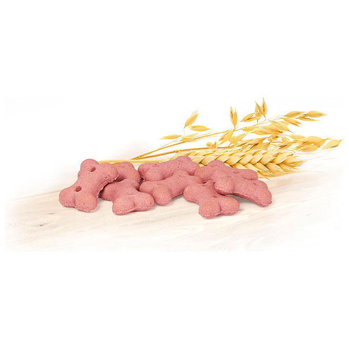 Record Frutti di bosco biscotti per cani Biscodog 1 kg