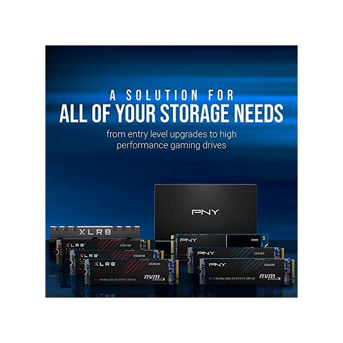 PNY CS900 Unita' a stato solido (SSD) SATA III 2.5 pollici 2TB Velocita' di Lettura fino a 550MB-s