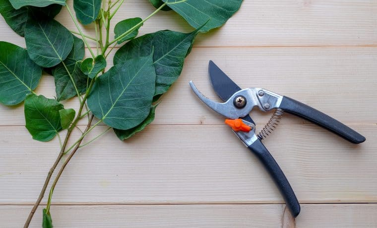Top,View:,Gardening,,Builder,,Repair,And,Construction,Hand,Tool,Concept. cesoie per potatura