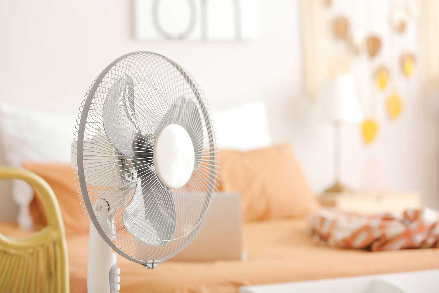 Migliori ventilatori a piantana: guida all'acquisto (2024)