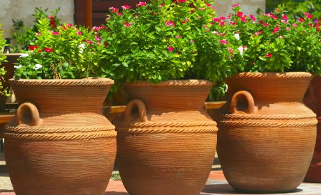 A,Collection,Of,Three,Clay,Pots,In,San,Antonio,,Texas vasi