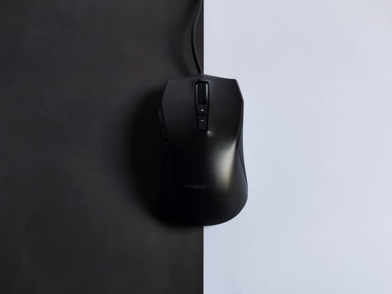 mouse
