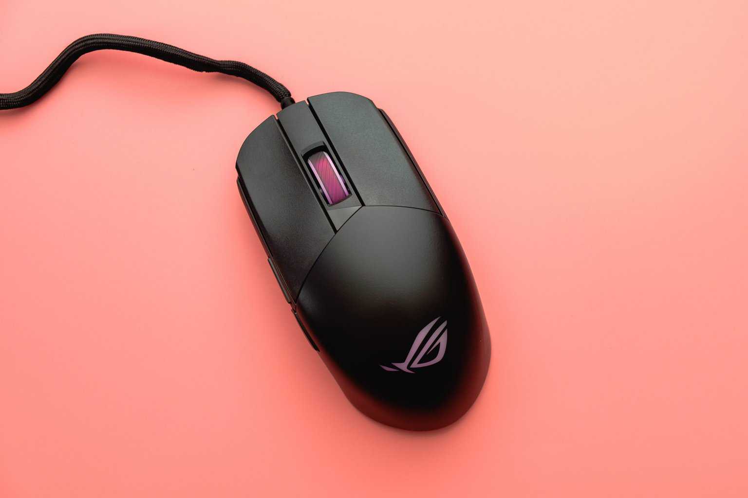 mouse
