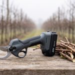 Forbici da potatura a batteria accanto a tralci appena tagliati