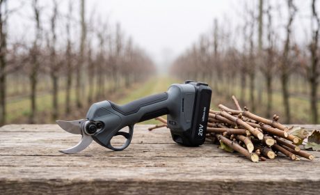 Forbici da potatura a batteria accanto a tralci appena tagliati